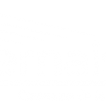 logo-vernaison-gris-pied