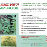 Ambroisie_flyer
