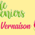 Bandeau site VG copie