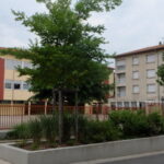 Ecole Baranne