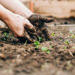 apprendre_a_jardiner_1