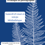 Atelier Cyanotype