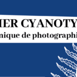 Atelier Cyanotype
