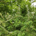 IMG_20260428_181917