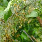 IMG_20260428_181924