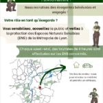 Flyer 1