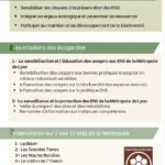 Flyer 2